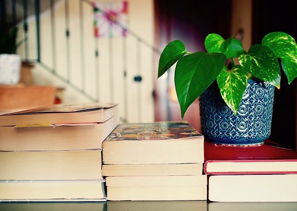 ENTELEKTÜEL GELİŞİMİ ARTIRMANIN TAM ZAMANI: #EVDEKAL !