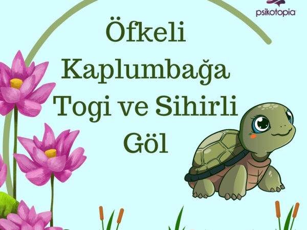 Öfkeli Kaplumbağa Togi ve Sihirli Göl