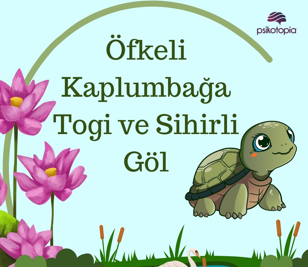 Öfkeli Kaplumbağa Togi ve Sihirli Göl